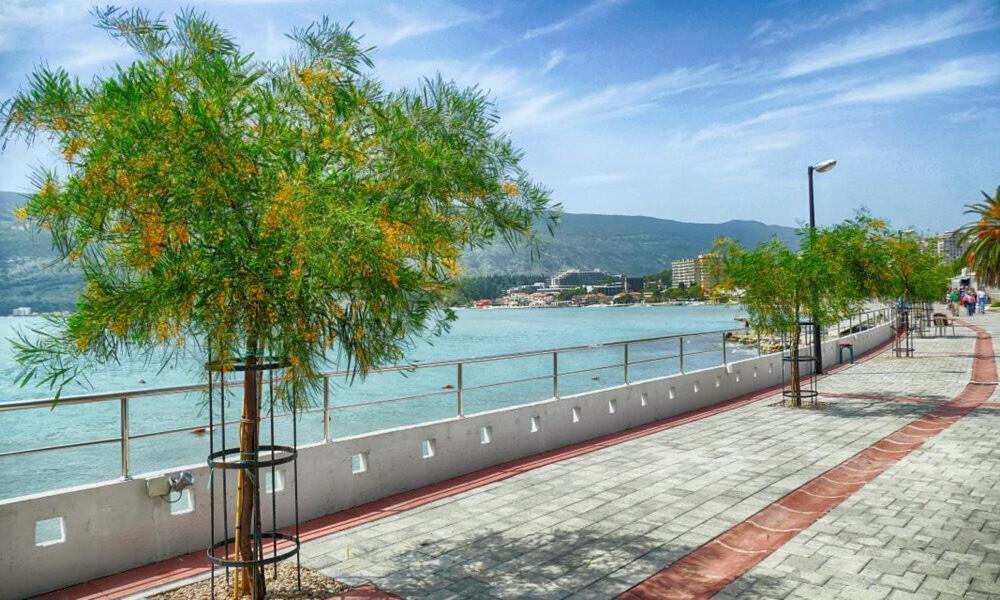 Villa Montanja Herceg Novi Dış mekan fotoğraf